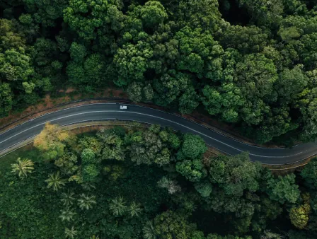 Aerial view of a car on a road winding through dense forest