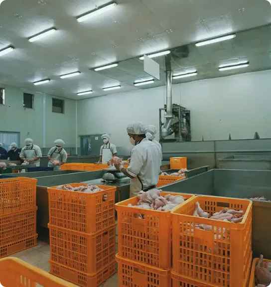 Workers at a meat-processing line with stacked crates