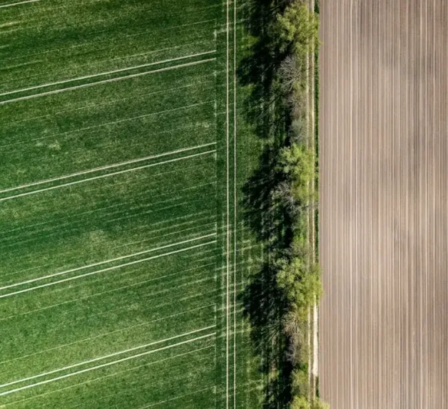 Aerial view of green and plowed farm fields divided by a tree line