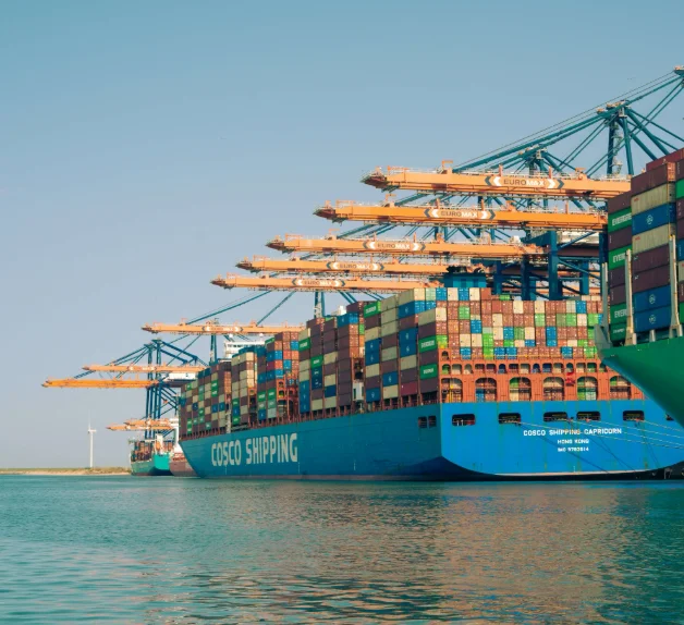 Container ships along a quay under a receding row of gantry cranes