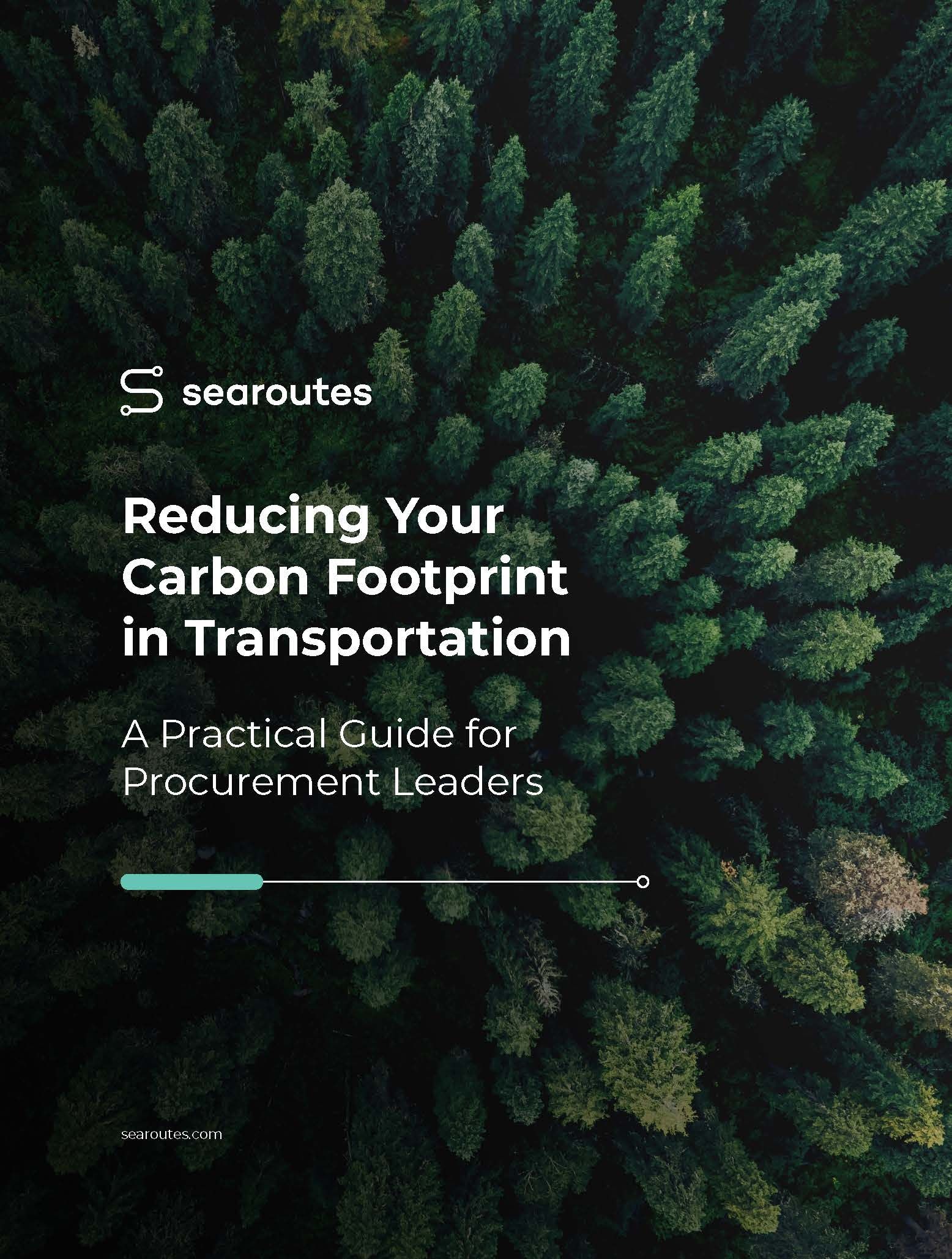 Searoutes WP Reducing your Carbon Footprint in Transportation - a practical guide for Procurement lead_Page_01