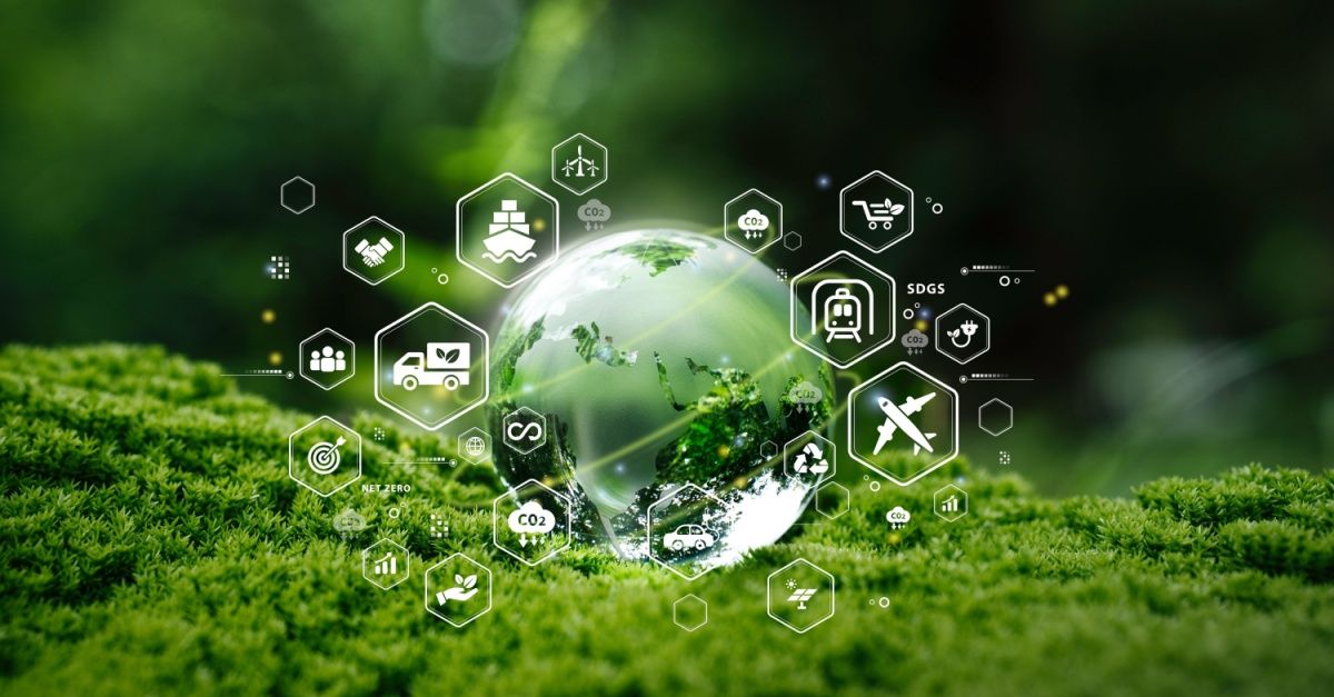 Searoutes supply chain emissions